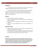 LIDERAZGO y DELEGACION