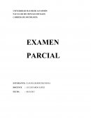 PRIMER PARCIAL DE INVESTIGACIÓN PARTICIPATIVA REVALORIZADORA