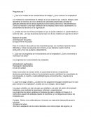 Modelo de las caracteristicas del trabajo