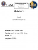 Actividad integradora de química: los elementos químicos y los compuestos