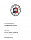 Partes 2 ¿CUÁLES SON LAS PARTES QUE SE UTILIZARON EN ESTE PLAN DE NEGOCIOS?