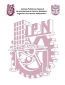 Práctica No.1: manejo de Voltmetro