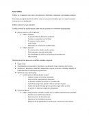 Edificio: es el caparazón que cubre a los operarios, materiales, maquinaria y actividades auxiliares.