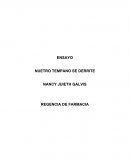 ENSAYO NUESTRO TEMPANO SE DERRITE