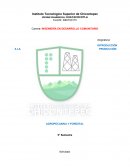 INVESTIGACIÓN SOBRE EL TEMA “EL CULTIVO DEL AGUACATE”