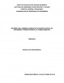 INFORME FINAL NUMERICO NARRATIVO DE SERVICIO SOCIAL DE ENFERMERIA CORRESPONDIENTE AL PRIMER BIMESTRE