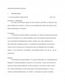 Un Ejemplo de especificaciones tecnicas de un proyecto