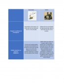 Actividad de aplicacion de meotodologia