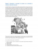 Apaga la televisión y enciende tu cerebro (o mi derecho a consumir televisión basura)