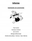 Caminando con cavernicolas