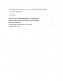 Seminario de Integración - Proyecto OGP1 Minera Escondida