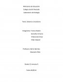 Biologia Tema: Sistema circulatorio