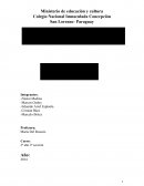 Bullying en el Colegio Nacional Inmaculada Concepción