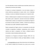 Los niños desarrollan nociones numéricas que les permiten avanzar en una construcción de nociones más compleja.