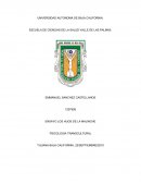 UN NUEVO ENSAYO LOS HIJOS DE LA MALINCHE