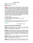 Derecho Penal Económico Exámen Parcial
