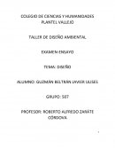 EXAMEN-ENSAYO TEMA: DISEÑO