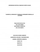 CUALES ELEMENTOS, COMPUESTOS Y MINERALES COMPONENTE ESENCIAL DE LAS ROCAS