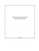 Análisis de la Industria Bancaria Retail: Economía de la Organización