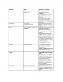 Derecho Natural, el derecho a la vida, a la libertad, y a la propiedad.