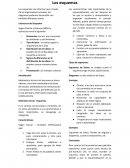 Los esquemas nos informan que a través de los organizadores visuales, los diagramas podemos desarrollar con facilidad diferentes temas.