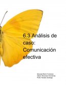 Analisis de caso-Comunicacion efectiva