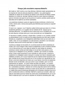 Ensayo jefe encubierto empresa modell's