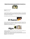 PRODUCTOS NATURALES QUE PODEMOS UTILIZAR EN LA ESTETICA