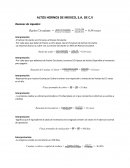 Altos hornos de Mexico, S.A. de C.V