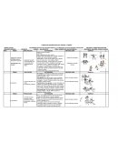 Ejemplo de sesión para baloncesto