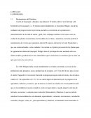 Problematización: Origen y descripción del problema