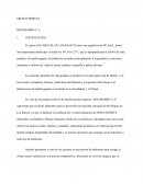 DESARROLLO DE PLAN DE MARKETING