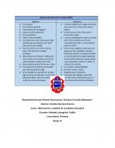 ¿Qué puedo observar? La piedra BENV