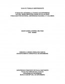 Desarrollo teorico de enfermeria PUBLICADO POR EDITORIAL UNIVERSIDAD NACIONAL DE COLOMBIA