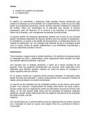 DESARROLLO DE LA GESTION DE EMPRESAS