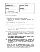 Actividad 1 comportamiento organizacional. Procesos individuales en las organizaciones