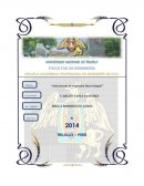 Aplicacion de la quimica Robert Brent.