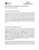 CASOS DE ELABORACION DE PRESUPUESTOS DE CAJA