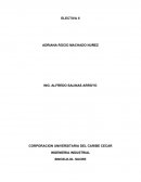 SENTIDO DE PERTENENCIA Y/O COMPROMISO Y SU IMPACTO EN LAS ORGANIZACIONES.