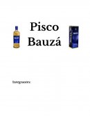 Pisco Bauza S.A.