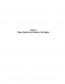 Paper Gestión de Calidad y Six Sigma