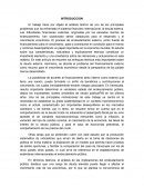 DESARRROLLO SOCIO ECONOMICO