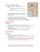 INHIBIDORES DE LA ANHIDRASA CARBÓNICA