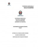 TRATAMIENTO DE RESIDUOS LÍQUIDOS