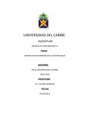 Sistema de inversion en el sector salud