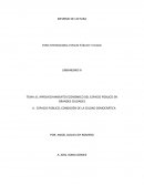 EL APROVECHAMIENTO ECONÓMICO DEL ESPACIO PÚBLICO EN GRANDES CIUDADES