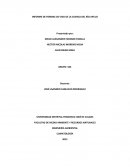 INFORME DE FORMAS DE VIDA DE LA CUENCA DEL RÍO APULO