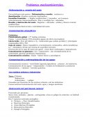 Problemas medioambientales.