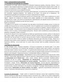 Direccion de la produccion tema 4