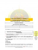 Orientaciones sobre el formato para presentar los resultados de Lecturas Complementarias